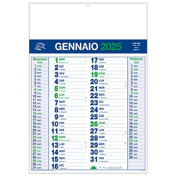 Calendario olandese 2025 885 verde/blu