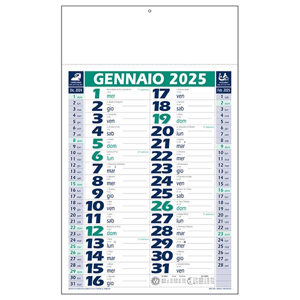 Calendario olandese 2025 C0790C verde/blu