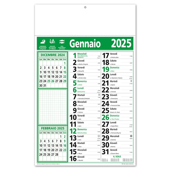 Calendario olandese promemoria 2025 267 Memo Verde/Nero